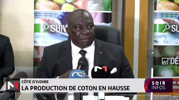 Côte d´Ivoire : la production de coton en hausse