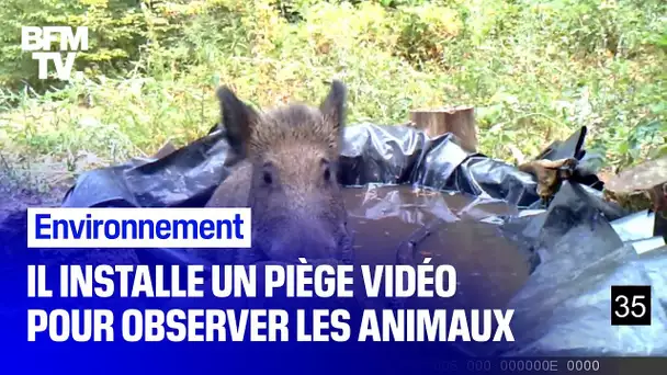 Il installe un piège vidéo pendant trois ans pour observer les animaux