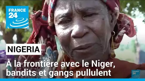 Nigeria : à la frontière avec le Niger, bandits et gangs pullulent • FRANCE 24