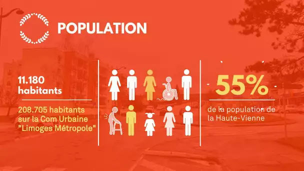 Municipales 2020 : Panazol en chiffres