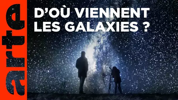 Tout ce que l'on sait sur les mystères de l'univers - Françoise Combes | La nuit des étoiles | ARTE