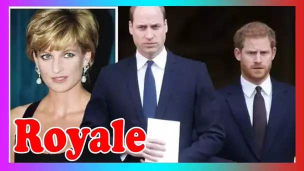 Harry et William ONT REFUSÉ d3s conseils sur le deuil après la mort de Diana - Allons-y