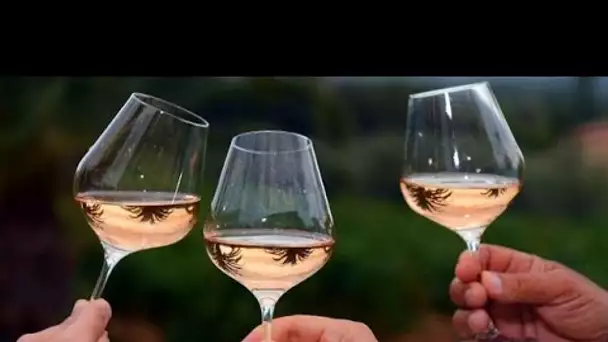 Météo capricieuse, inflation... La consommation de rosé, vin star de l'été, s'effrite en France