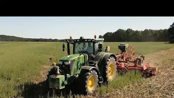 L'agriculture fait sa transition verte : les pistes d'avenir dans l'UE