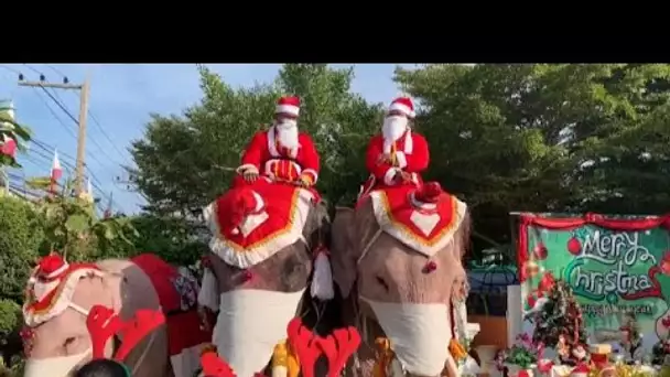 Thaïlande : des éléphants et leurs dresseurs déguisés pour Noël