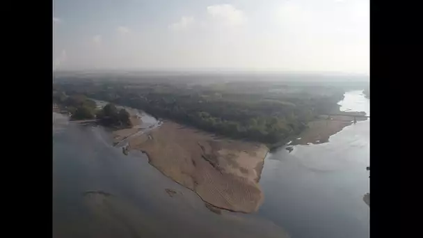 Vu du ciel : la Loire à Candes-Saint-Martin (Indre-et-Loire)