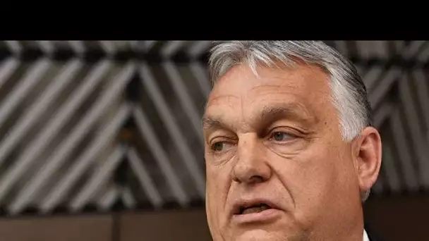 Viktor Orban et la "race" hongroise : le comité d'Auschwitz se dit "horrifié"