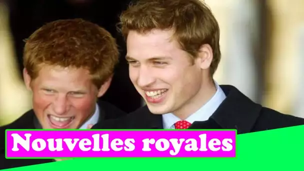 Des photos de la famille royale révèlent à quel point les liens de William et Harry étaient étroits