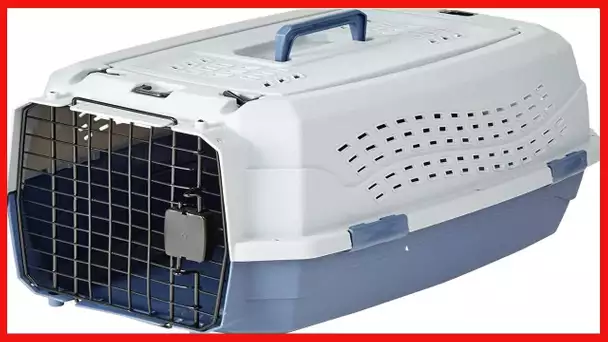 Amazon Basics 2-Door Top Load Hard-Sided Dog and Cat Kennel Travel Carrier, 23-Inch