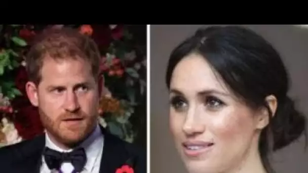 Meghan et Harry @ccusés de "signal de vertu" avec leur travail : "Tellement bruyant à ce sujet !"