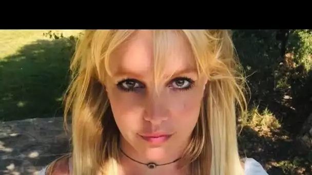 Britney Spears se lâche (encore) et dévoile ses fesses sur Instagram