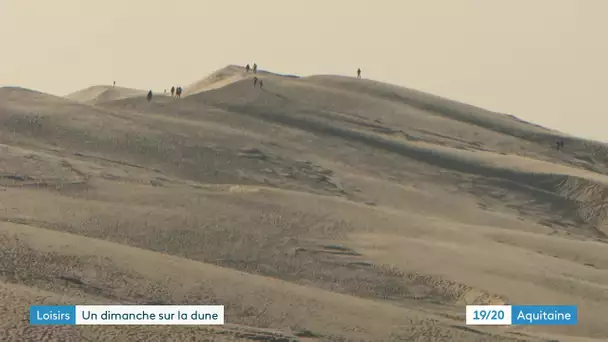 La beauté de la Dune du Pilat en plein hiver