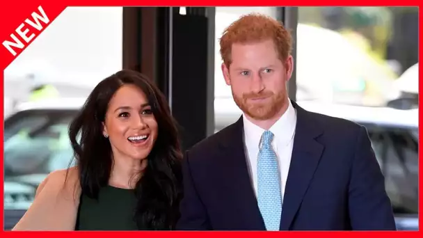 ✅  Meghan Markle prête à s'engager dans la campagne présidentielle américaine ?