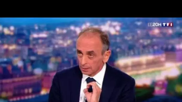 Gilles Bouleau insulté par Eric Zemmour : ce qu'il lui aurait dit en sortant du...