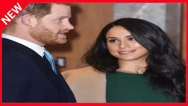 ✅  Meghan et Harry : ces détails (trop) privés censurés de leur biographie