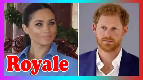 Le prince Harry « obsédé » « a ignoré les avertissements que Meghan a provoqué des ennuis »