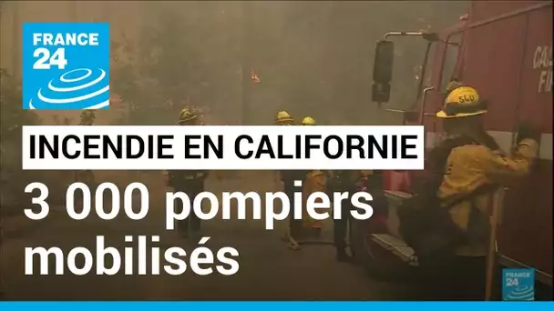 Incendie en Californie : 3 000 pompiers combattent un feu de forêt "explosif" • FRANCE 24