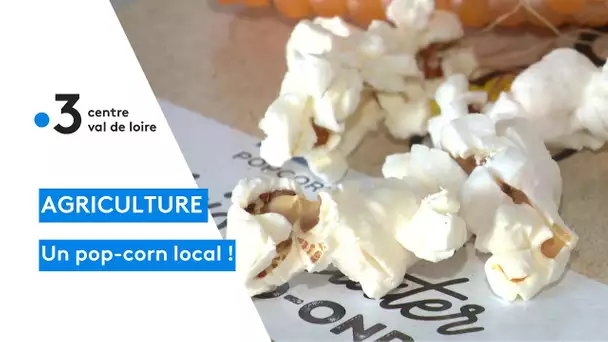 Agriculture : un pop-corn 100 bio et local avec des blés de Dun-sur-Auron