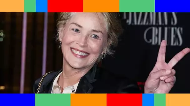 Sharon Stone a adopté un quatrième enfant dans la plus grande discrétion