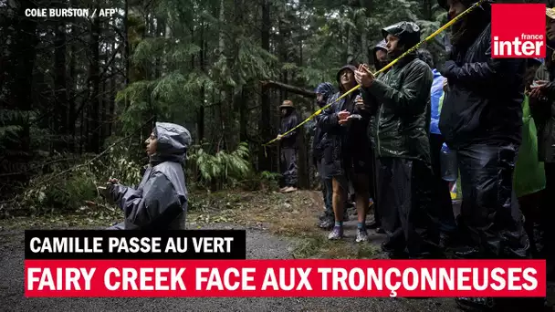 Fairy Creek face aux tronçonneuses