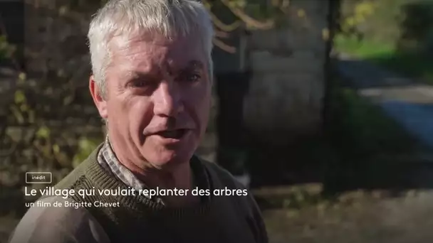 [Bande annonce] Le village qui voulait replanter des arbres