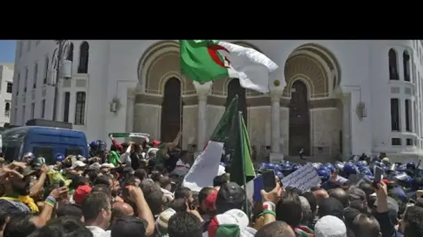 Manifestations en Algérie : "Ils sont des milliers à avoir investi les rues"