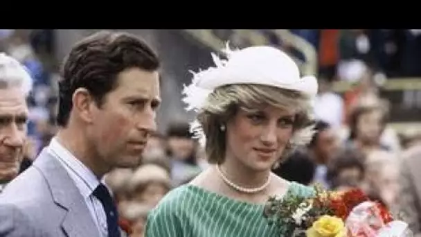 Famille royale : Qui du prince Charles ou de Lady Di était le plus looké ?