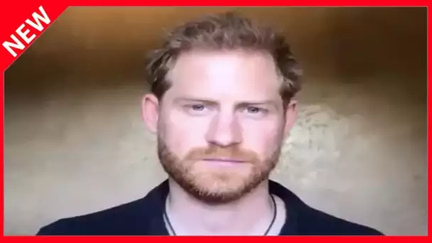 ✅  Prince Harry : ses cheveux font le buzz