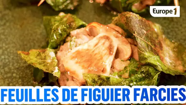 SIMPLE et DELICIEUX - les feuilles de figuier farcies d'Amandine Chaignot