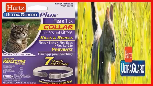 Hartz UltraGuard Plus Reflective Flea & Tick Collar for Cats and Kittens