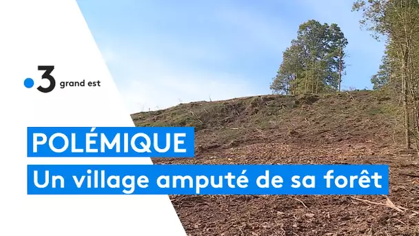 Les fouilles pour retrouver le corps d'Estelle Mouzin ont détruit la forêt d'Issancourt-sur-Rumel