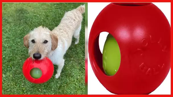 Jolly Pets Teaser Ball Dog Toy, Medium/6 Inches, Red