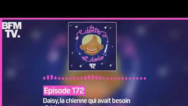 Episode 172 : Daisy, la chienne qui avait besoin d’aide - Les dents et dodo