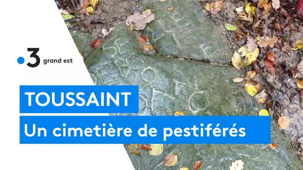 Le cimetière de pestiférés de Bouligney dans les Vosges