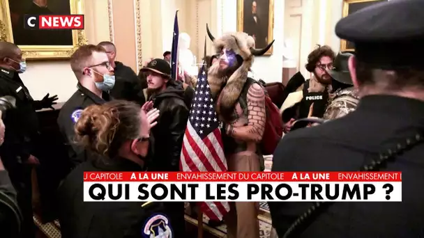 Qui sont les pro-Trump ?