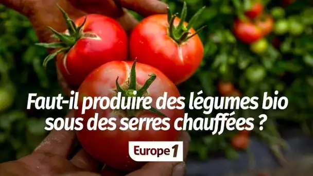 Faut-il produire des légumes bio sous des serres chauffées ?