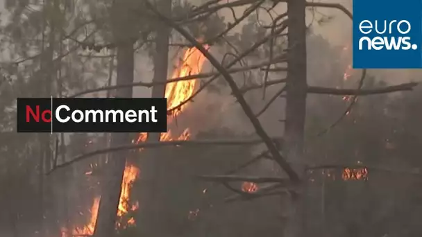 En Corse, le combat des pompiers contre les flammes