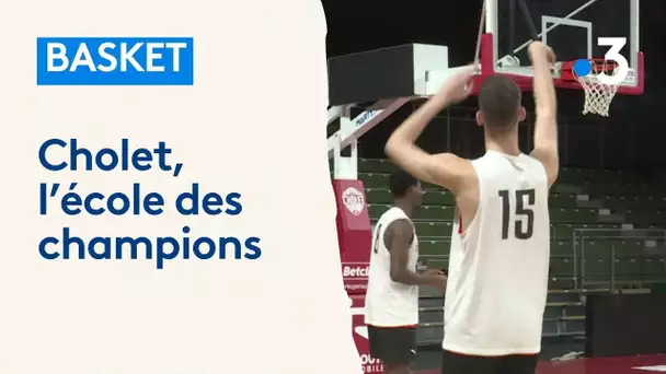 Basket : Cholet, l'école des champions