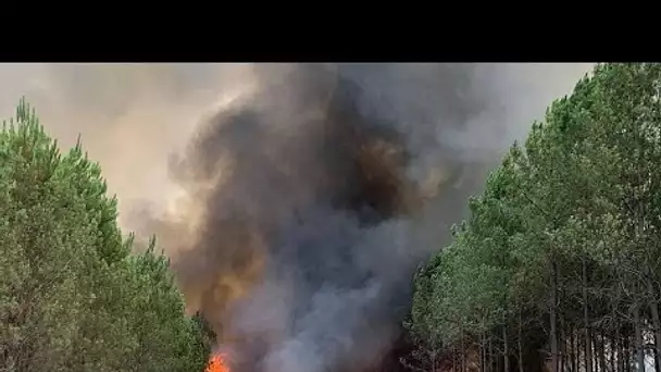 Incendies en Gironde : des pompiers européens arrivent en soutien de la France