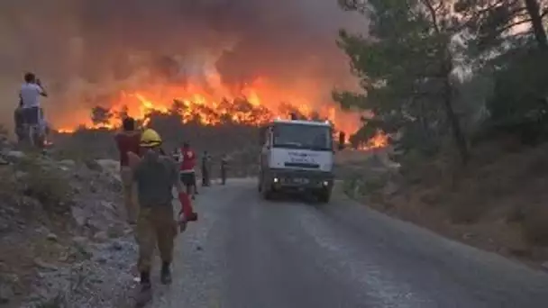 La Grèce et la Turquie toujours en proie aux flammes