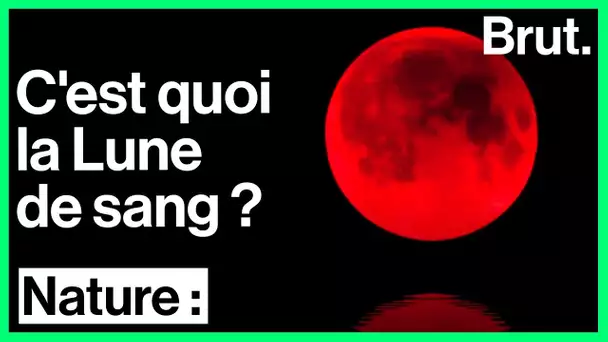 C&#039;est quoi la Lune de sang ?