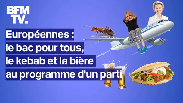 Bac pour tous, kebab et bière à 3 euros… Le programme insolite d'un parti allemand aux européennes