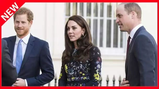 ✅  Kate Middleton absente des conversations entre William et Harry : un choix