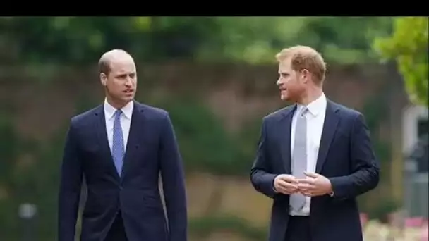 Harry snobe le prince William dans une déclaration quelques jours seulement après la réunion caritat