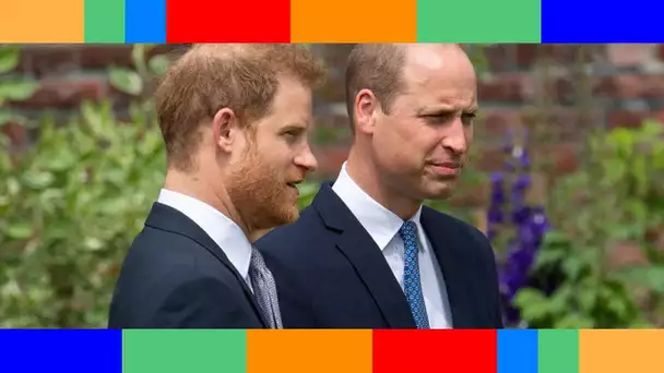 William et Harry : calomniée de manière terrible, leur ex-nounou tient sa revanche