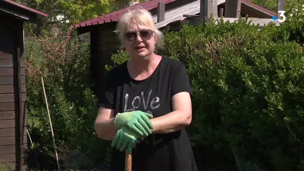 A Vesoul, l'accès aux jardins familiaux autorisé malgré le confinement