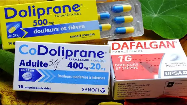 Le Paracétamol français, ce n’est pas pour demain