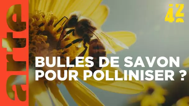 Peut-on remplacer les pollinisateurs ? | 42 - La réponse à presque tout | ARTE