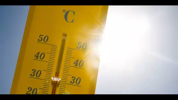 «Il fait vraiment trop chaud» : à Lyon, habitants et touristes fuient la chaleur