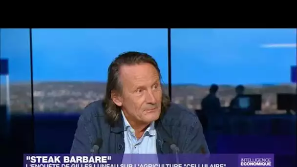 "Steak barbare" : l’enquête de Gilles Luneau sur l’agriculture "cellulaire"